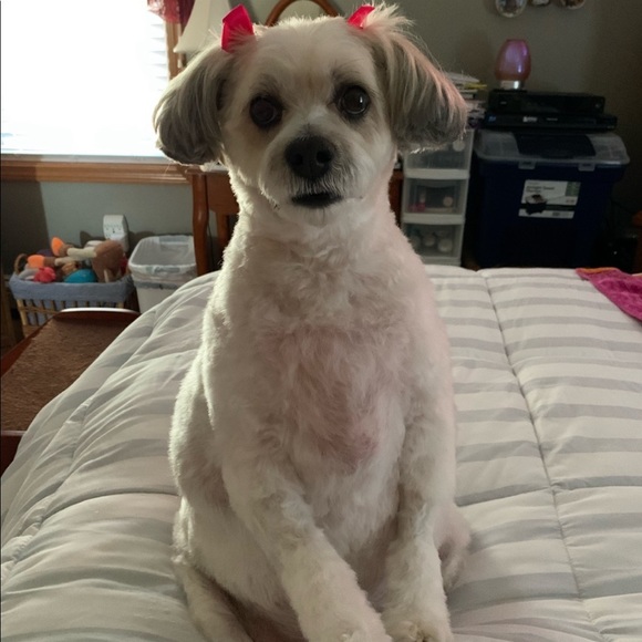 My Best Friend Forever In My Heart 💕 - Picture 5 of 17